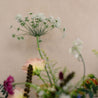 Limited Edition: Autumn Skies Flower Bouquet with Aegina Vase